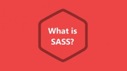SASS چیست؟